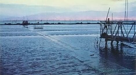 Israel's 150kw Solar Pond Image